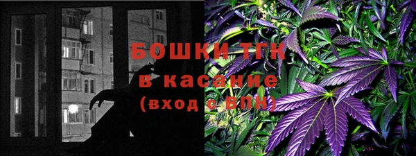 молекула духа Балахна