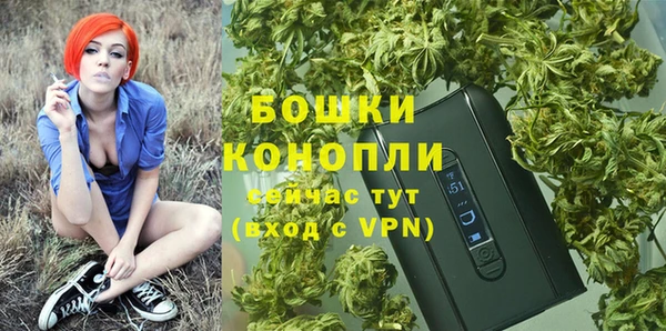 тгк Богданович