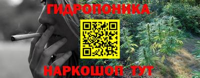 дмт Тверь