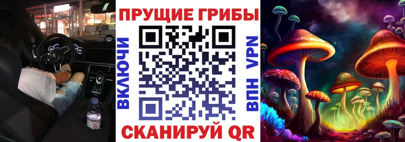 Псилоцибиновые грибы Psilocybine cubensis  Сегежа 