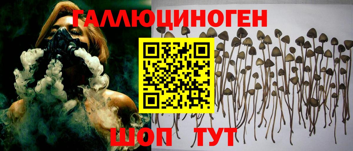 Галлюциногенные грибы GOLDEN TEACHER  Вход с VPN  Сегежа 